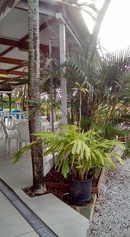 Hotel Des Amandiers Cayenne Exterior photo
