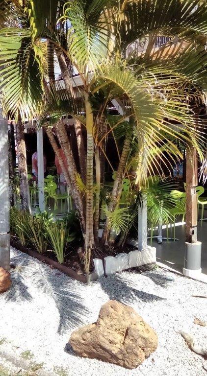 Hotel Des Amandiers Cayenne Exterior photo